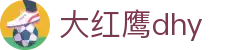 大红鹰dhy(中国)有限公司官网